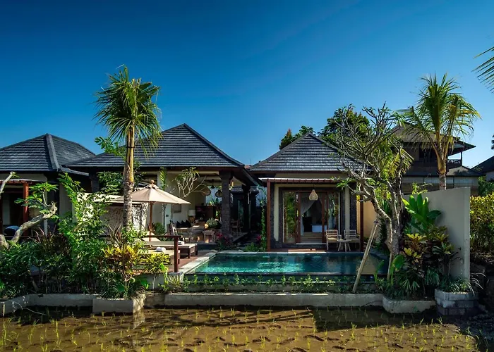 Bliss Luxury *